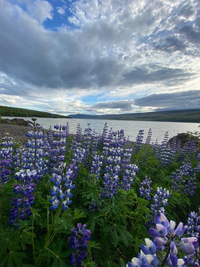Hengifosslodge Tiny Houses Egilsstaðir Buitenkant foto